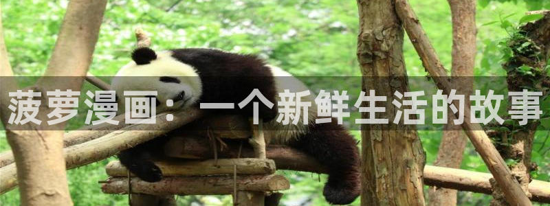 噬主漫画免费下拉式包子漫画