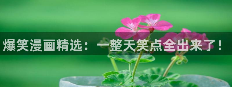 包子漫画旧版本