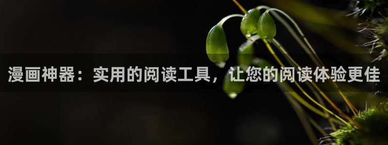 剑舞包子漫画免费漫画入口页面