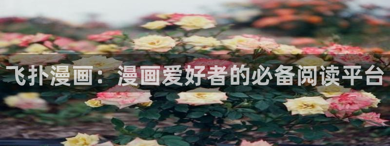 橡树之下包子漫画免费观看